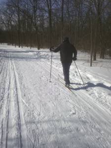 Cross Country Skiing in Forest Preserve